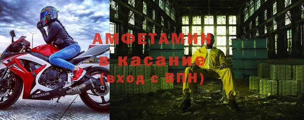 ПСИЛОЦИБИНОВЫЕ ГРИБЫ Строитель