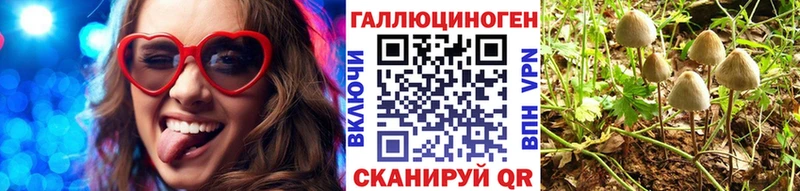 Галлюциногенные грибы GOLDEN TEACHER Бирюсинск